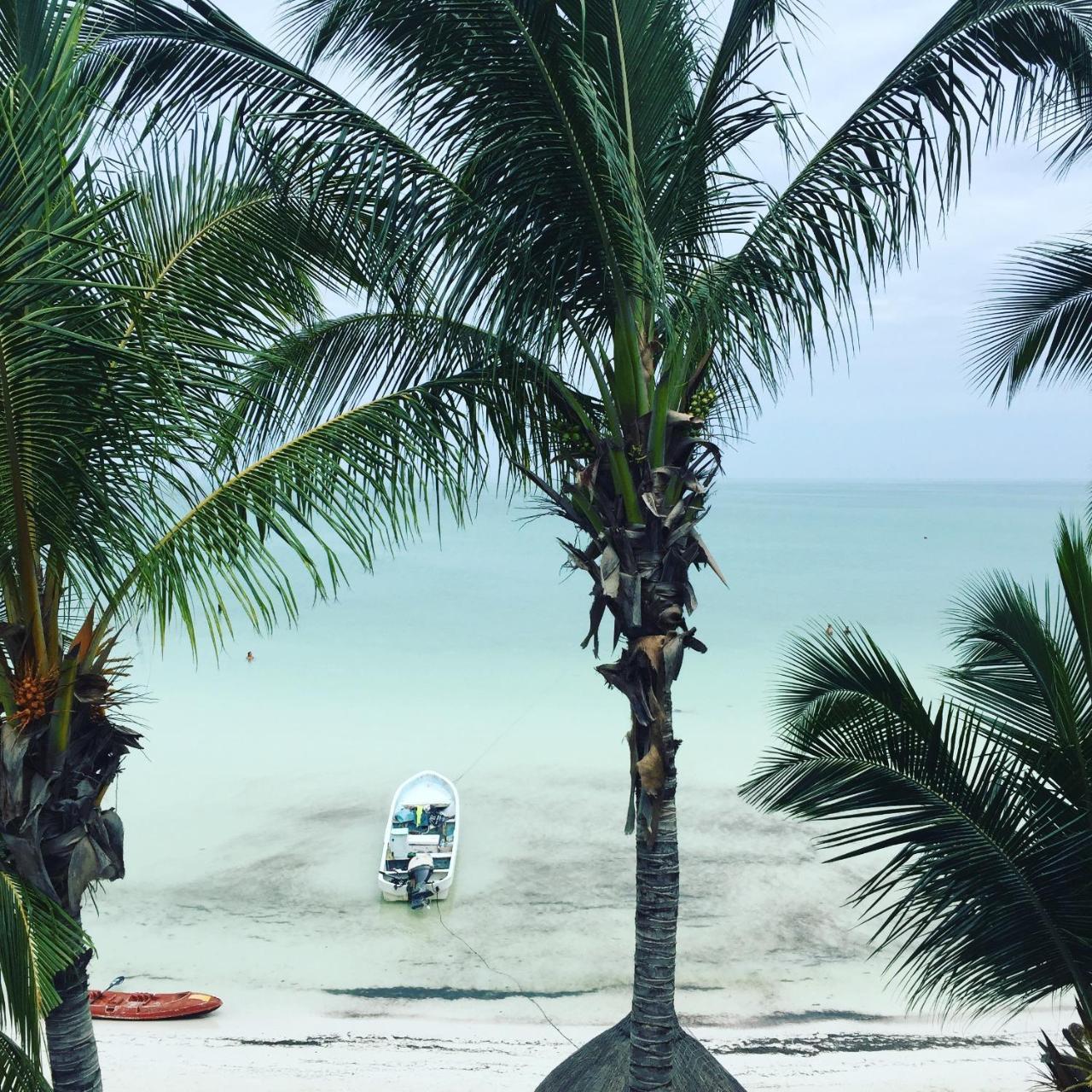 Casa Cat Ba Beachfront Boutique Hotel Isla Holbox Ngoại thất bức ảnh